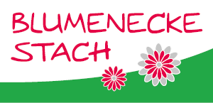 blumenecke stach