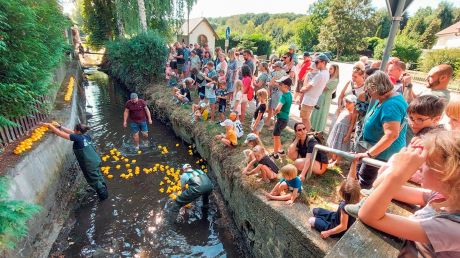 170 Enten schwimmen beim Entenrennen auf der Beuster